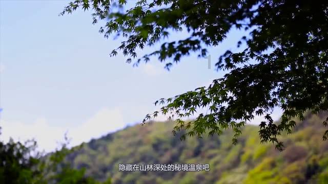 hahabet梦想